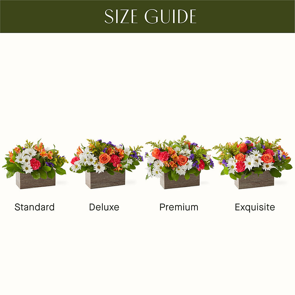 Oopsie Daisy Box Bouquet – AKIKO'S FLORAL ARTS, Wellsboro PA