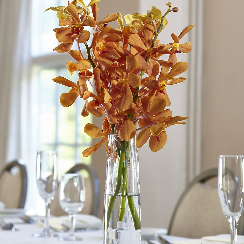Orange Mokara Bud Vase – AKIKO'S FLORAL ARTS, Wellsboro PA