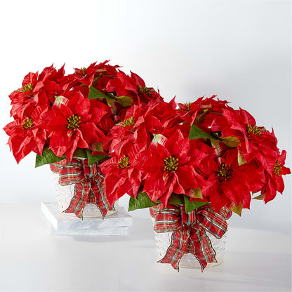Happiest Holidays Poinsettia Bundle – AKIKO'S FLORAL ARTS, Wellsboro PA