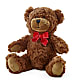 Adorable Plush Bear – AKIKO'S FLORAL ARTS, Wellsboro PA
