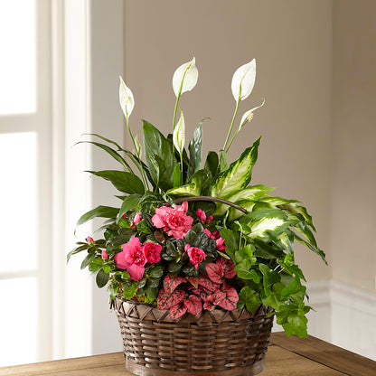Dream in Pink Dishgarden – AKIKO'S FLORAL ARTS, Wellsboro PA