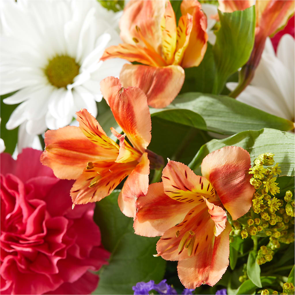 Oopsie Daisy Box Bouquet – AKIKO'S FLORAL ARTS, Wellsboro PA