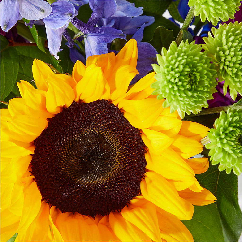 Catching Rays Bouquet – AKIKO'S FLORAL ARTS, Wellsboro PA