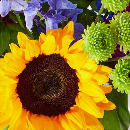 Catching Rays Bouquet – AKIKO'S FLORAL ARTS, Wellsboro PA