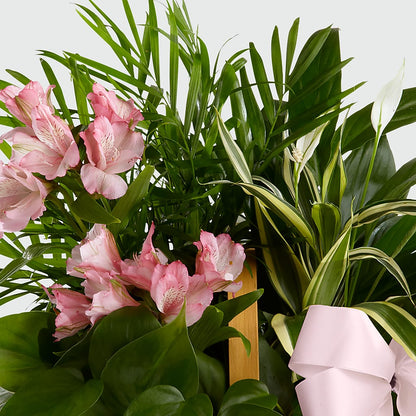 Living Spirit Dishgarden – AKIKO'S FLORAL ARTS, Wellsboro PA